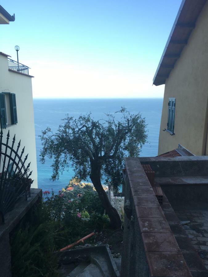 House In Grimaldi. Spectacular View Over The French Riviera! Grimaldi  Exterior foto